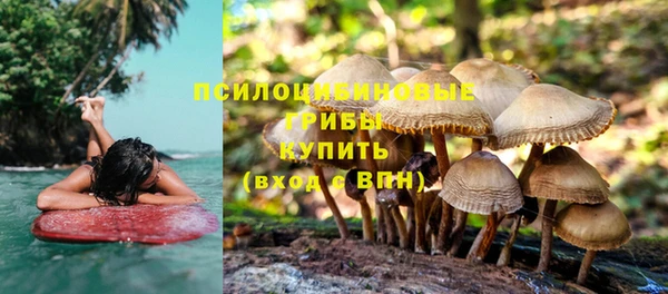 бошки Аркадак