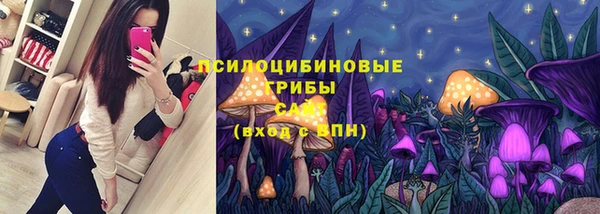 мяу мяу мука Армянск