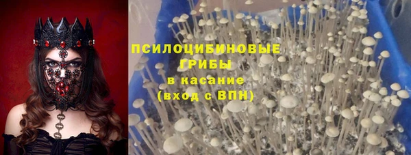 бошки Аркадак