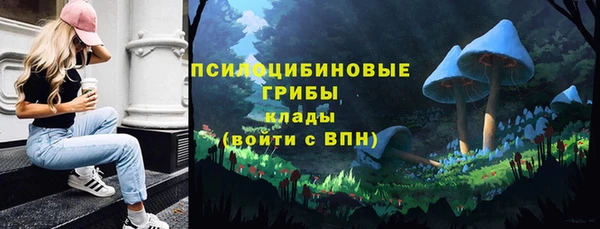 бошки Аркадак